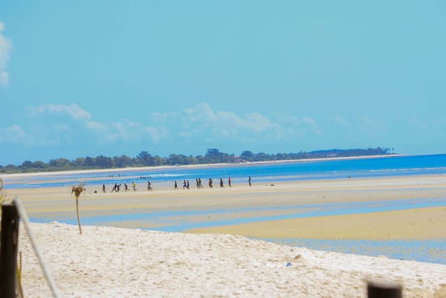 Dynasty Beach Picture