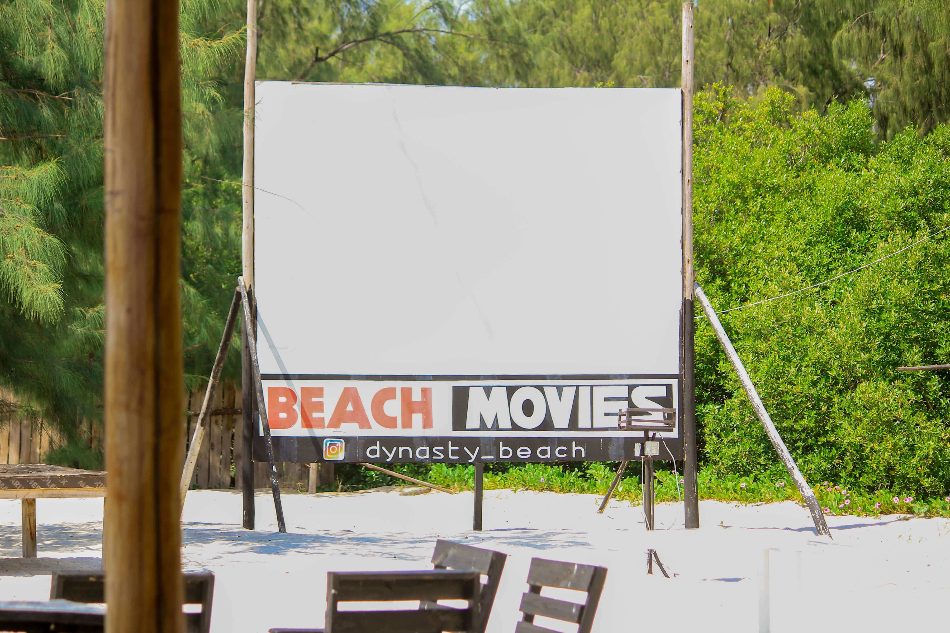 instagram picture feed